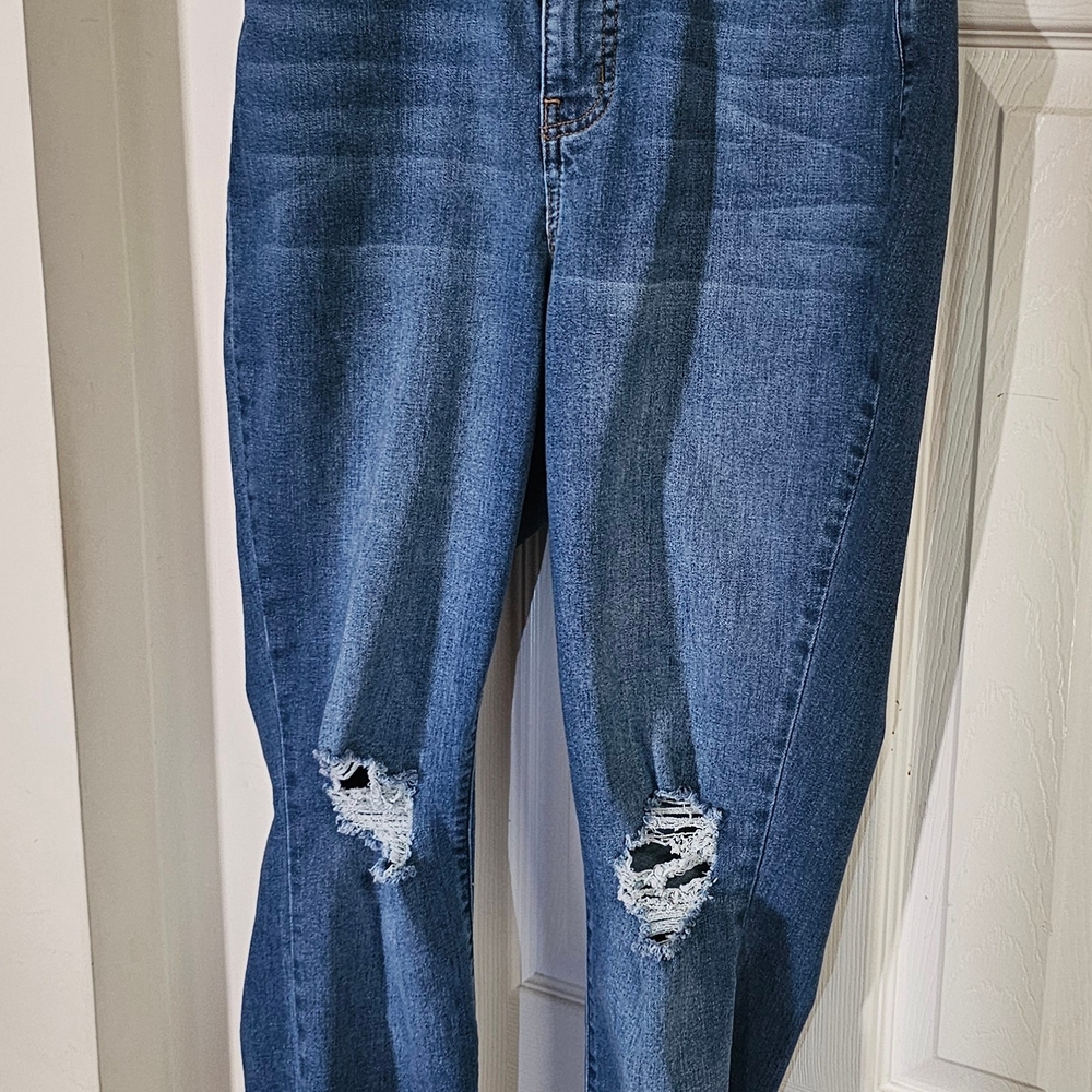 Fashion to Figure Blue Distressed Skinny Jeans